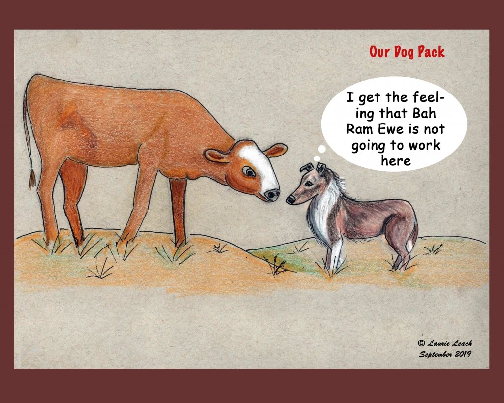 bah ram Brown thought bubble