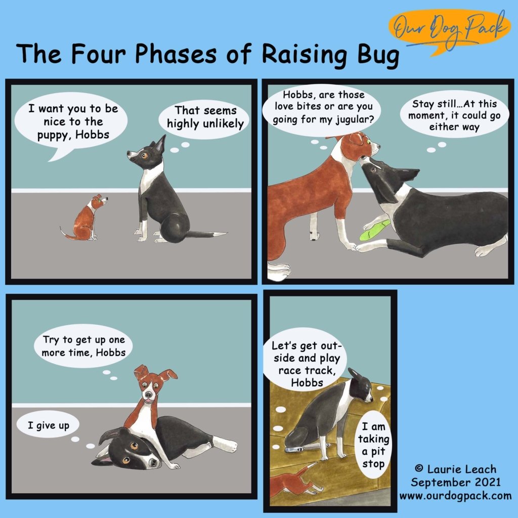 Raising Bug v2 copy