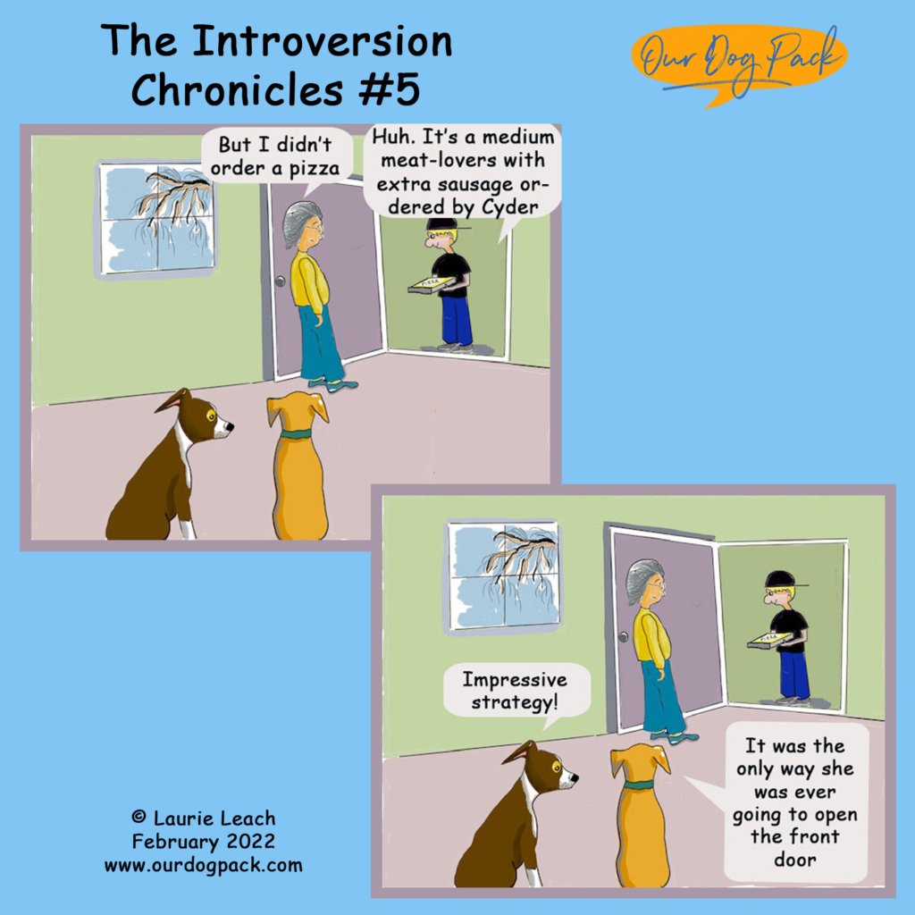 Introvert #5 1 copy