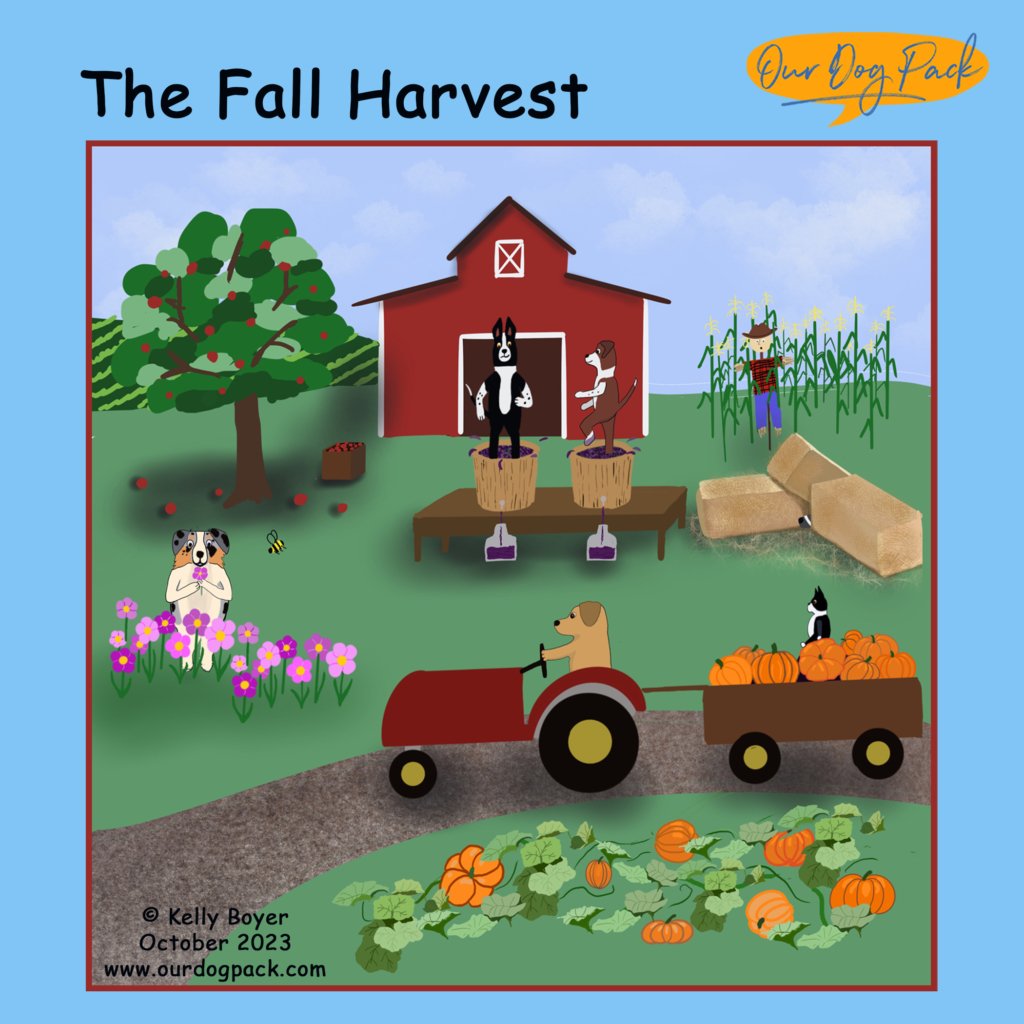 Fall Harvest copy